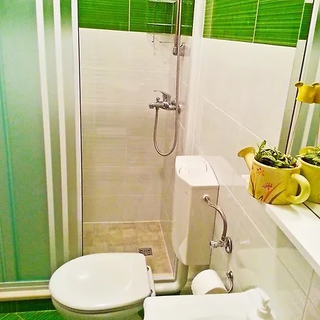 Apartments And Rooms King Mokosica Room photo